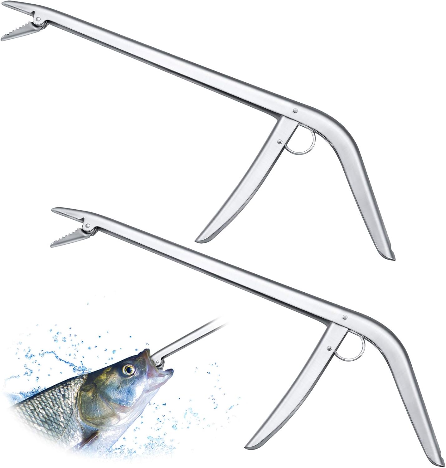 2 Pieces Stainless Steel Fish  - Fishing Hook recensione e prezzo